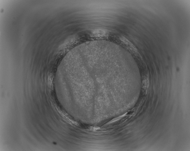 X0000085000662200703261130