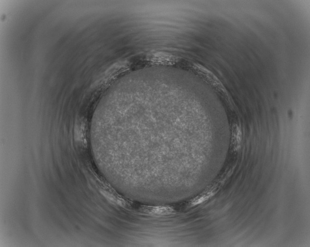 X0000085000663200703261130