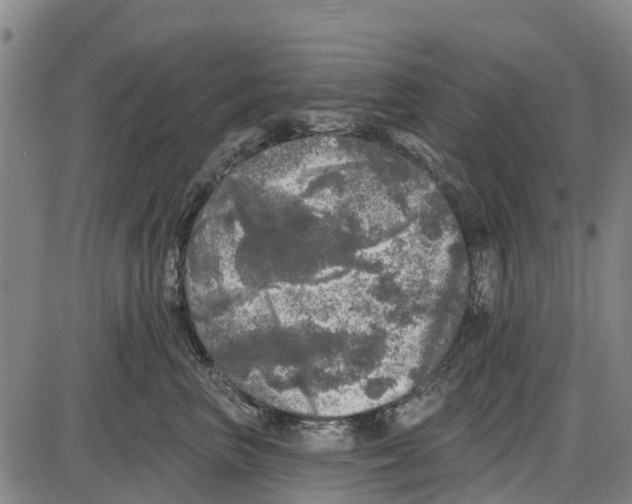 X0000085000667200703261130