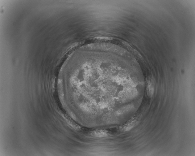 X0000085000668200703261130