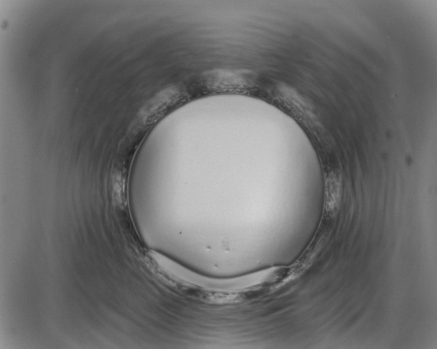 X0000085000669200703261130