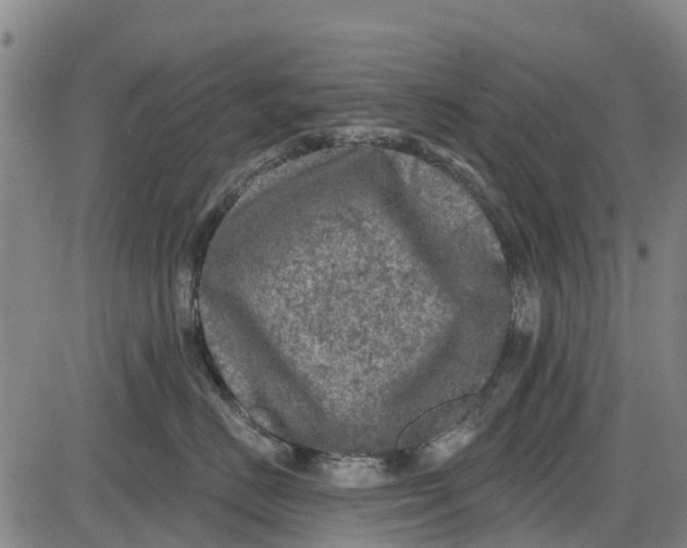 X0000085000670200703261130