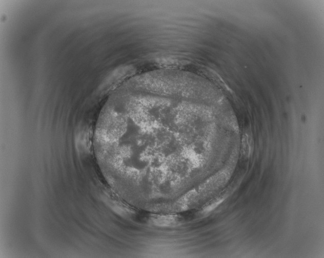 X0000085000671200703261130