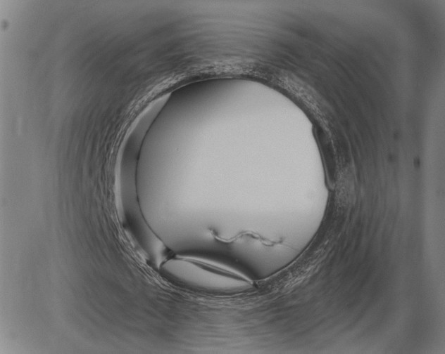 X0000085000673200703261129