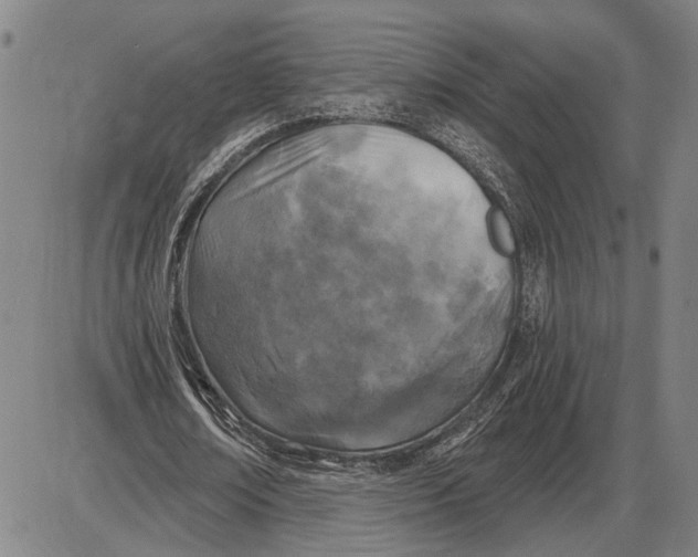 X0000085000674200703261129