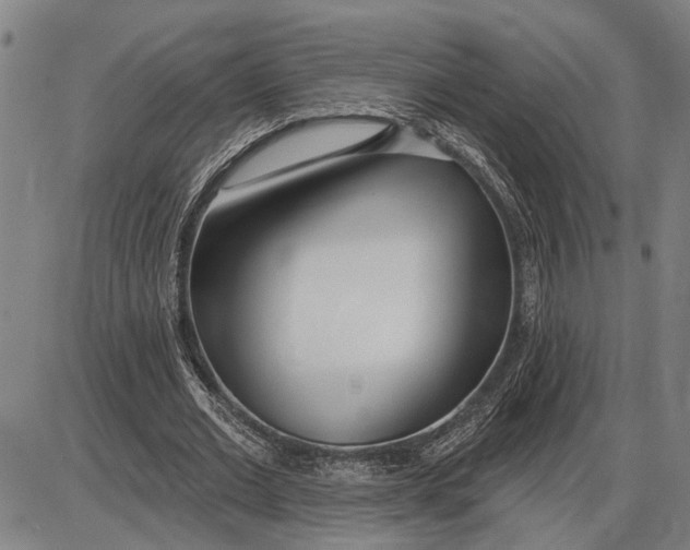 X0000085000677200703261129