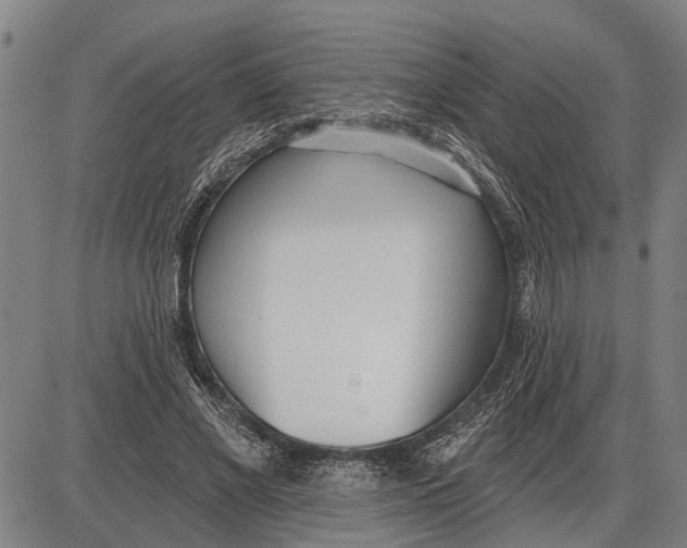 X0000085000685200703261129