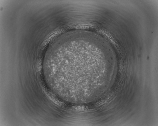 X0000085000687200703261129