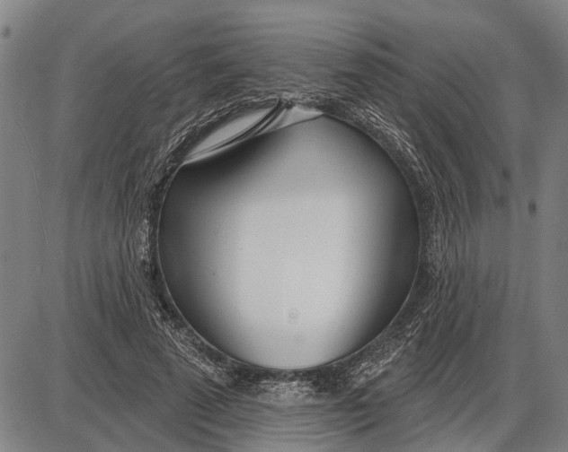 X0000085000689200703261129