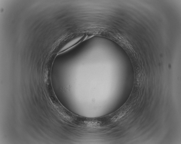 X0000085000693200703261129