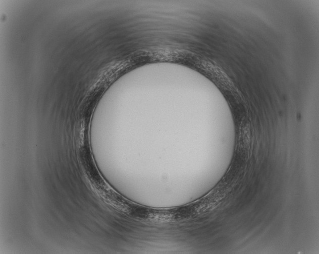 X0000085000694200703261129