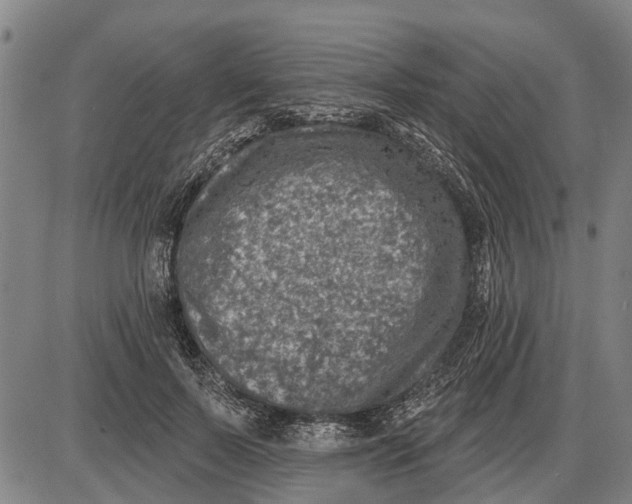 X0000085000695200703261129