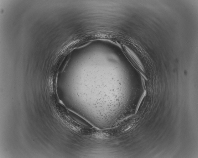 X0000085000696200703261129