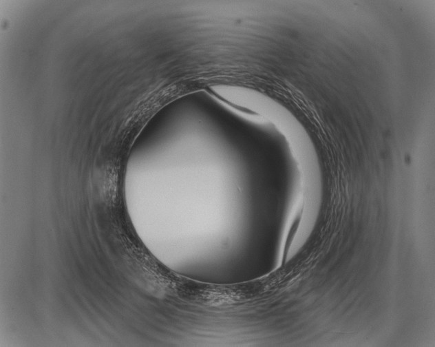 X0000085000697200703261129