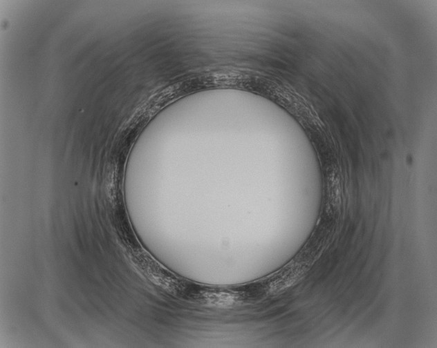 X0000085000698200703261129