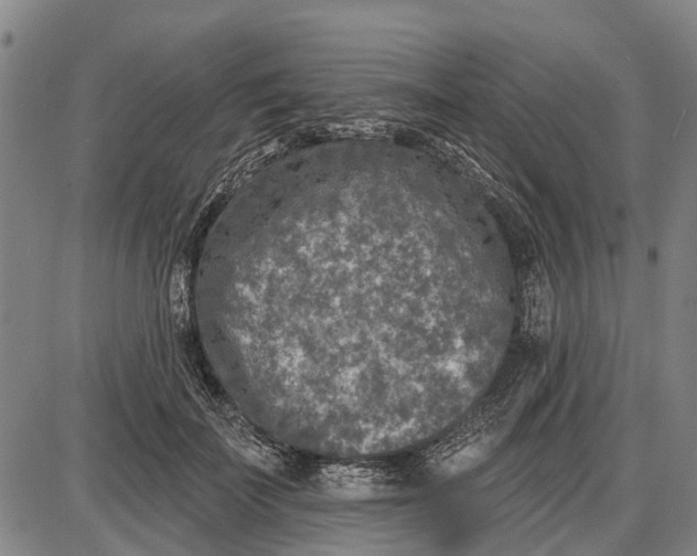 X0000085000699200703261129