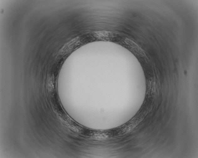 X0000085000702200703261129