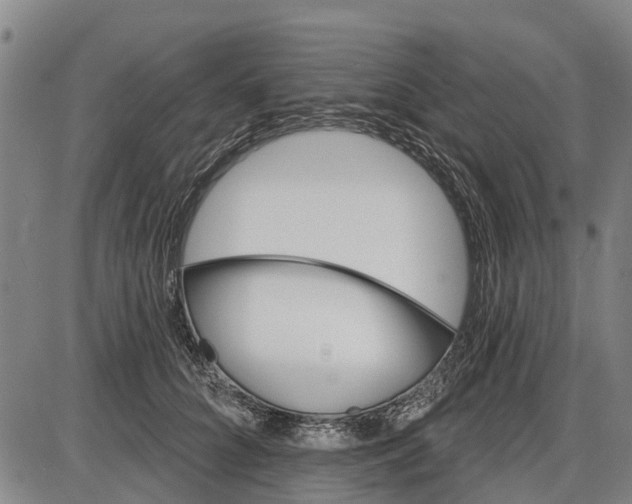 X0000085000704200703261129