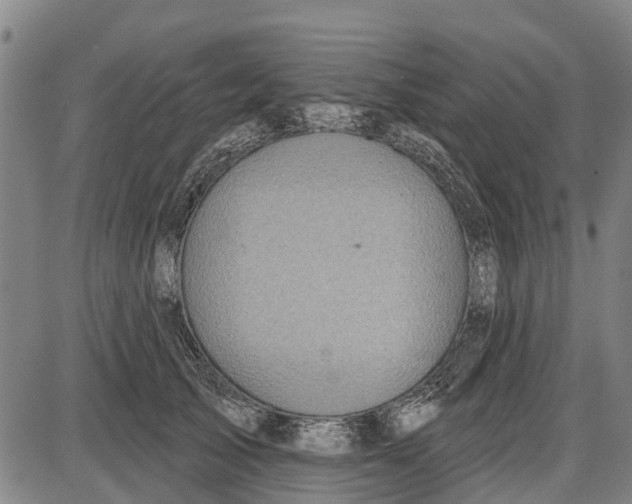 X0000085000705200703261129