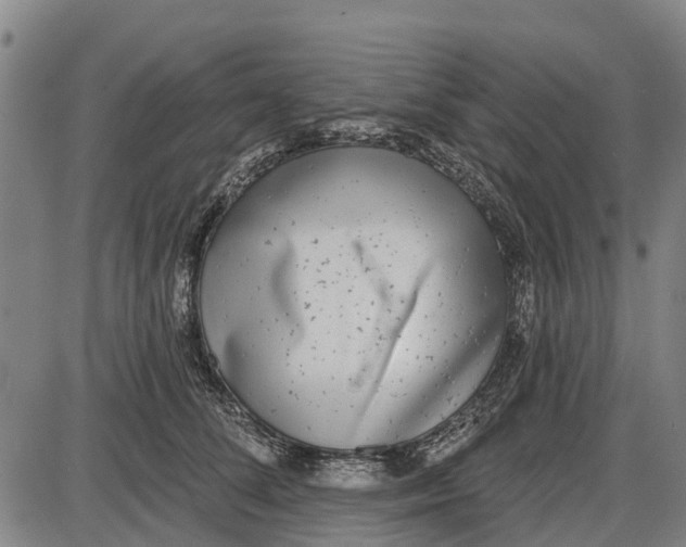 X0000085000708200703261129