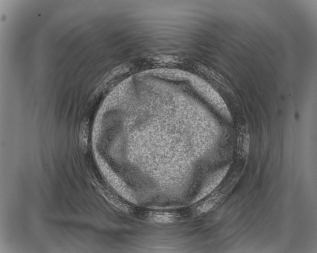 X0000085000710200703261129