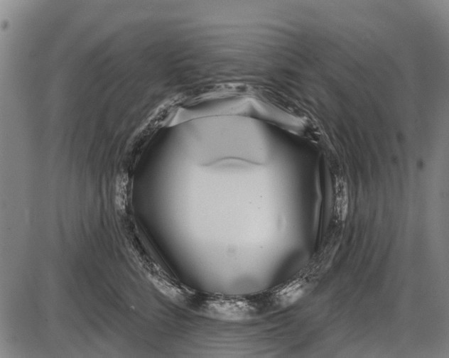 X0000085000712200703261129