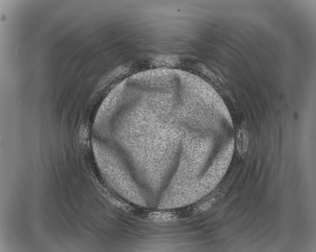 X0000085000714200703261129