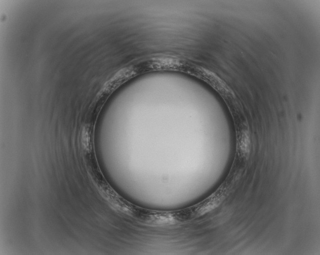 X0000085000715200703261129