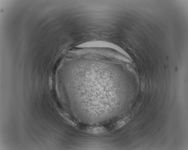 X0000085000716200703261128