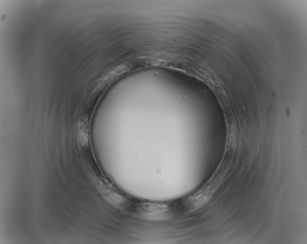 X0000085000719200703261128