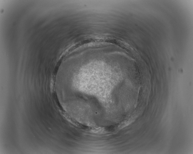 X0000085000720200703261128