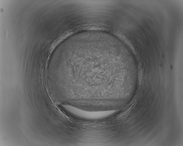 X0000085000721200703261128