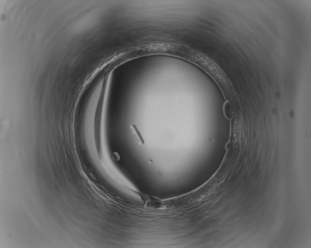 X0000085000722200703261128