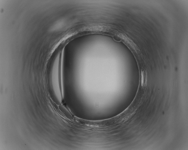 X0000085000723200703261128