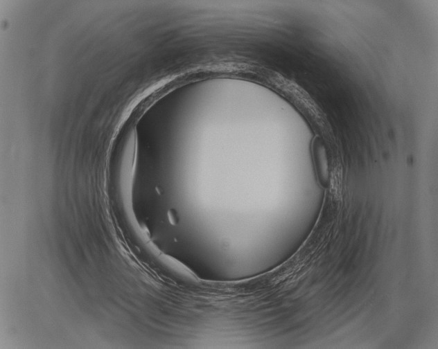 X0000085000724200703261128