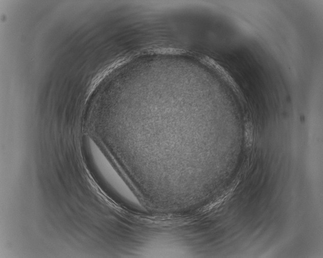 X0000085000725200703261128