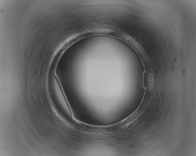 X0000085000726200703261128