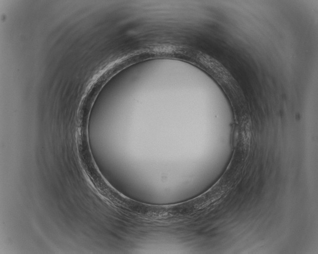 X0000085000728200703261128