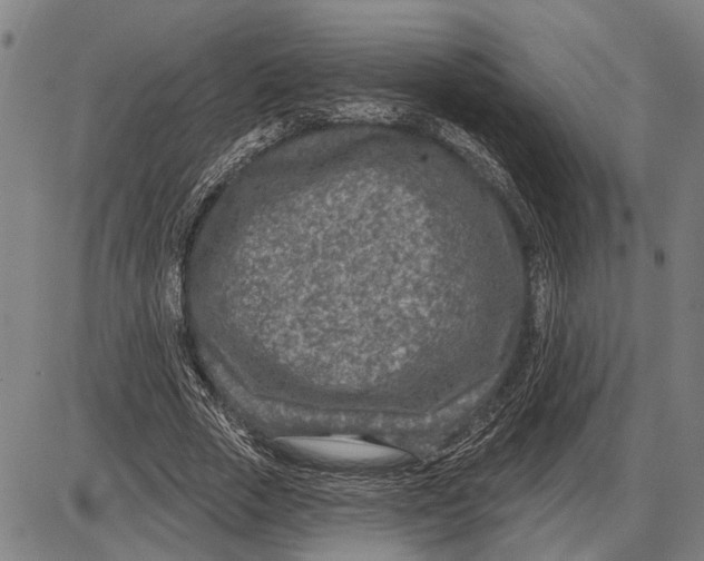 X0000085000729200703261128