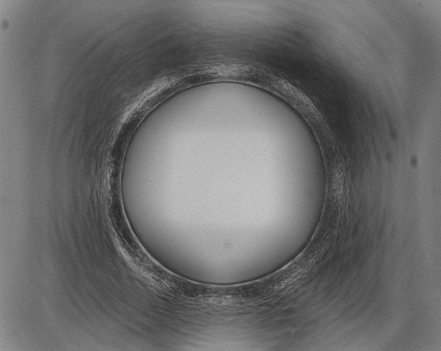 X0000085000730200703261128