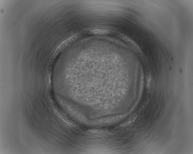 X0000085000733200703261128