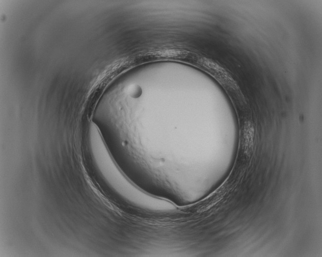 X0000085000734200703261128