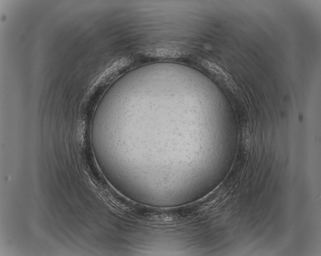 X0000085000735200703261128