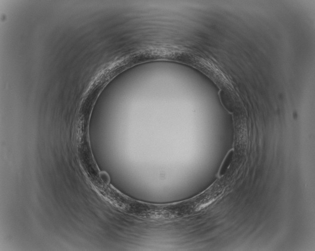 X0000085000736200703261128