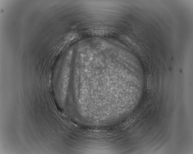 X0000085000737200703261128