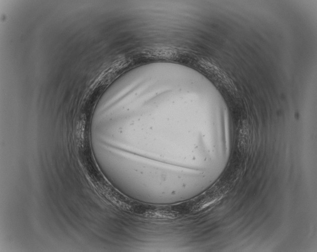 X0000085000739200703261128