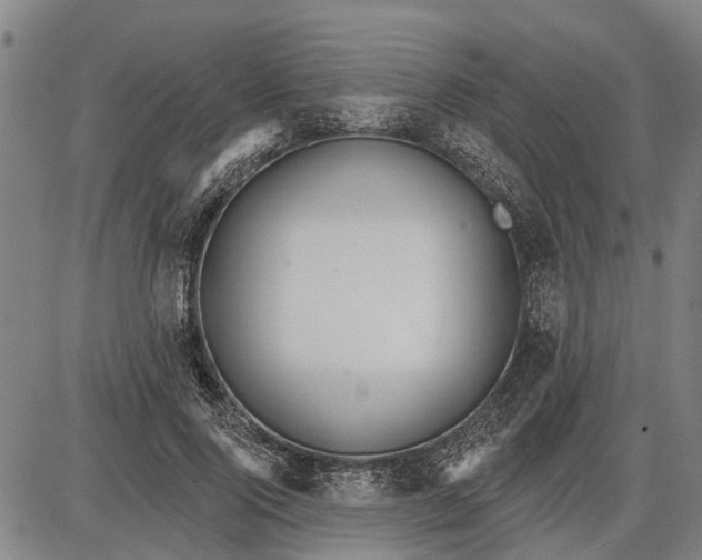 X0000085000740200703261128