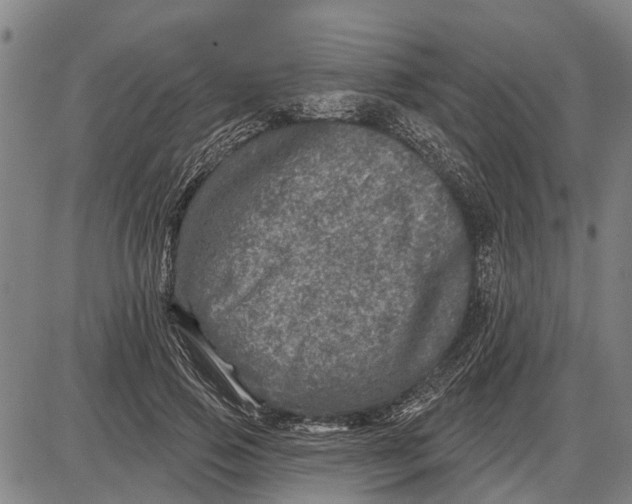 X0000085000741200703261128