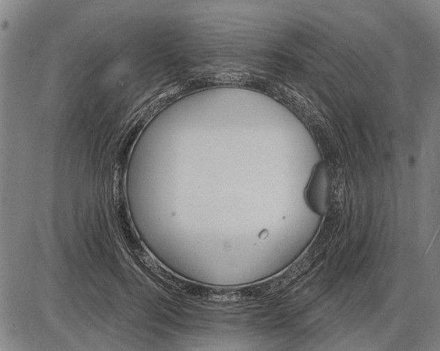 X0000085000744200703261128