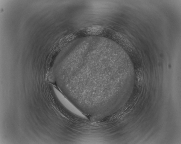 X0000085000745200703261128